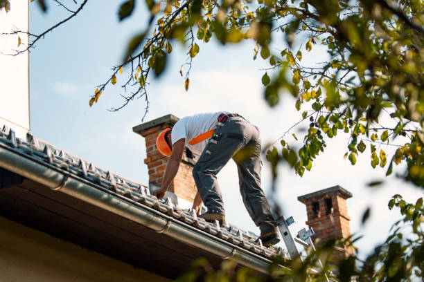 Roof Waterproofing Services in Mount Pleasant, NC